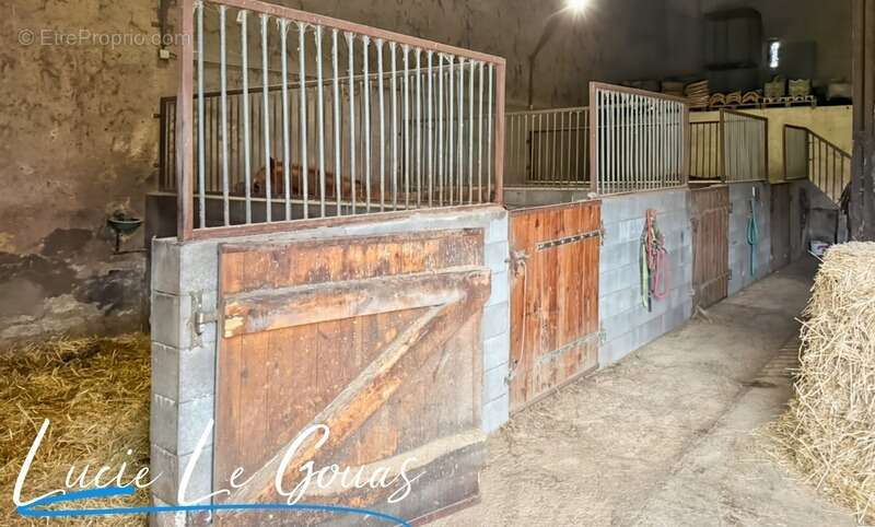 Ferme équestre - photo 26