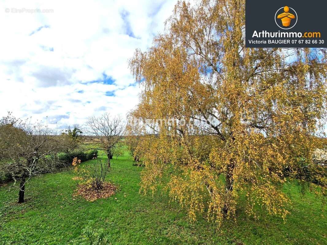 Maison à SAVIGNY-EN-REVERMONT