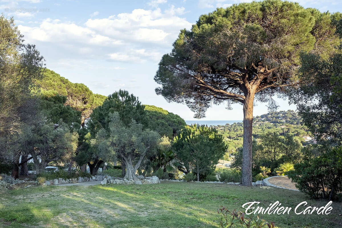 Terrain à SAINTE-MAXIME