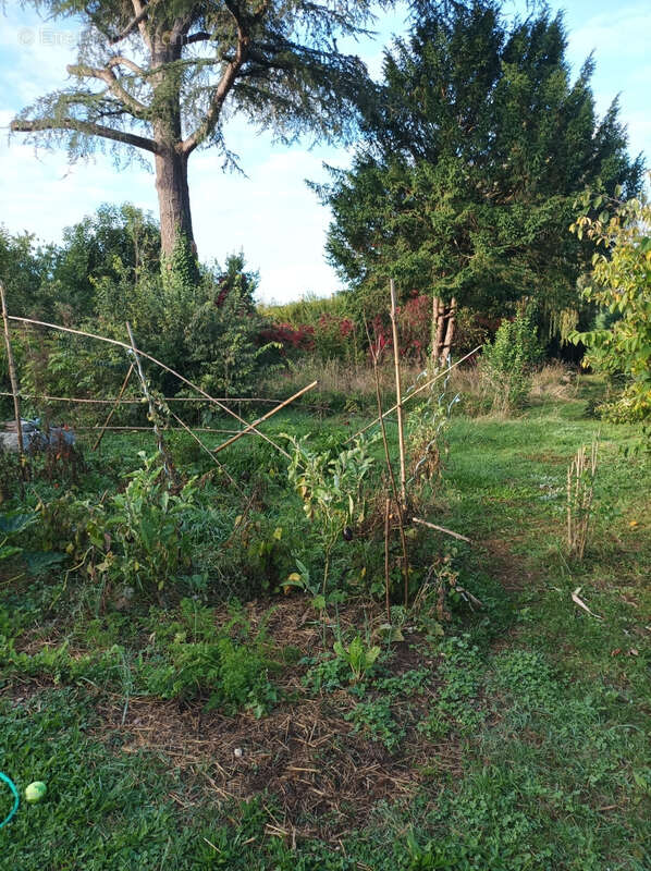 Maison à MONSEMPRON-LIBOS