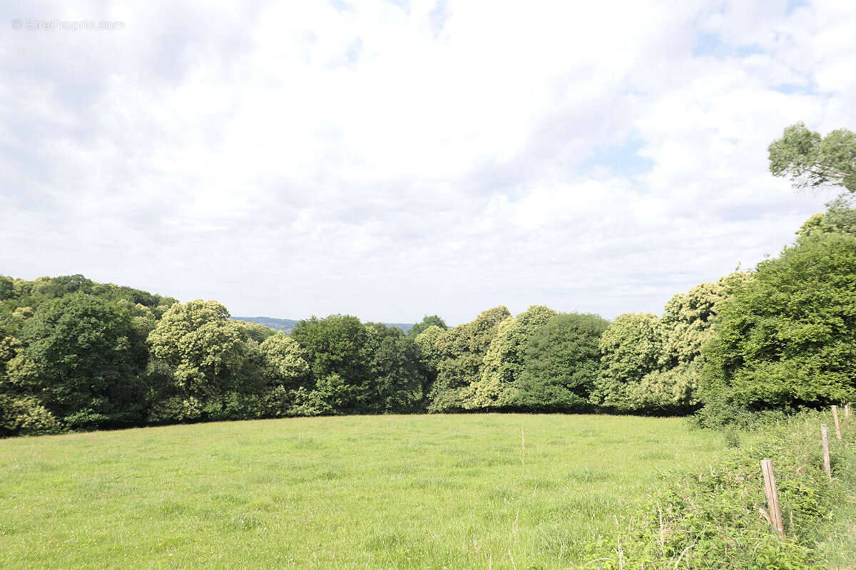 Proche juvigny le tertre - photo 2