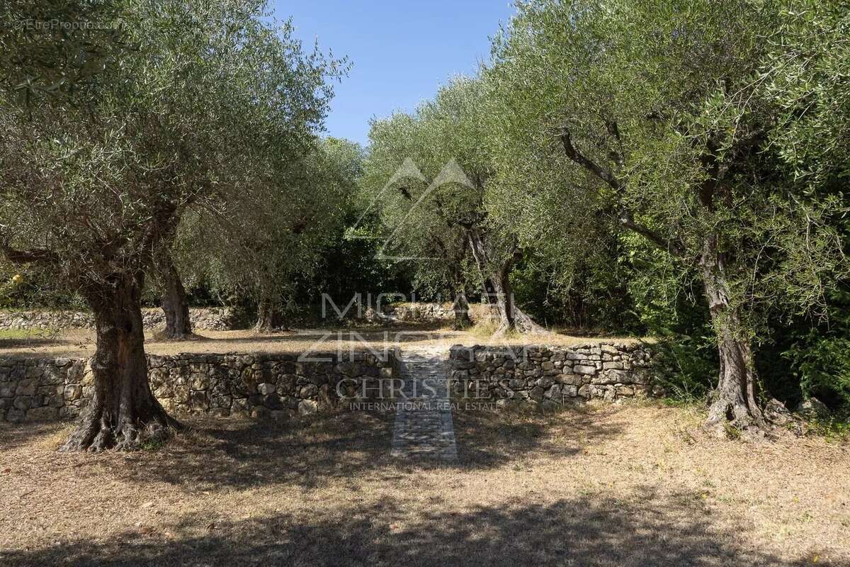 Villa avec piscine à Grasse, à 5 minutes d'Opio – 340 m² – Terrain de 5 000 m² - photo 13