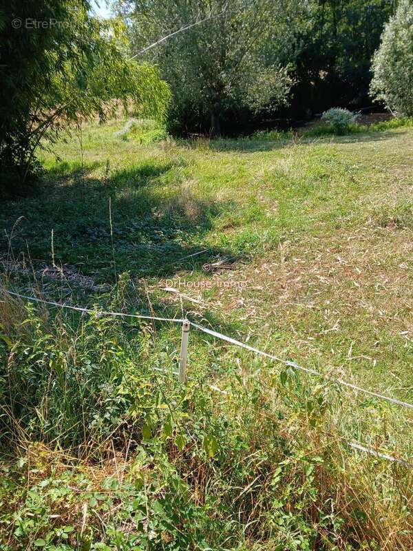 Terrain à SAINT-CYR-SUR-MENTHON