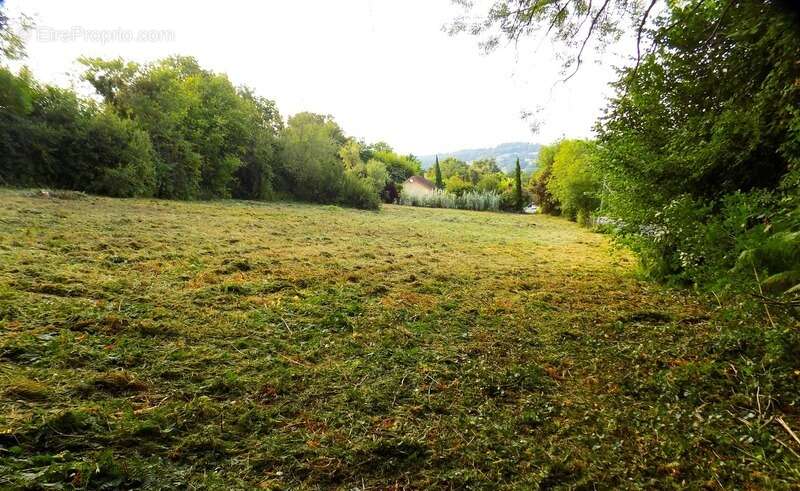 Terrain à THEZE