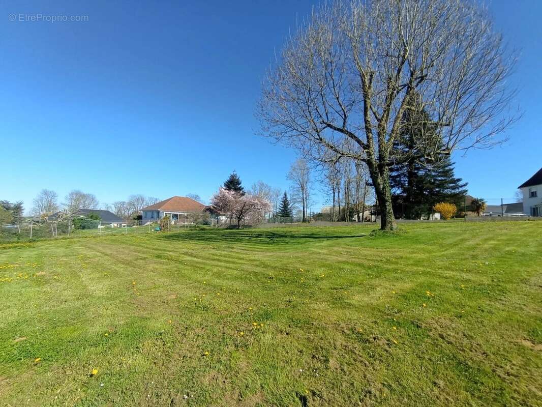 Terrain à FRECHOU-FRECHET