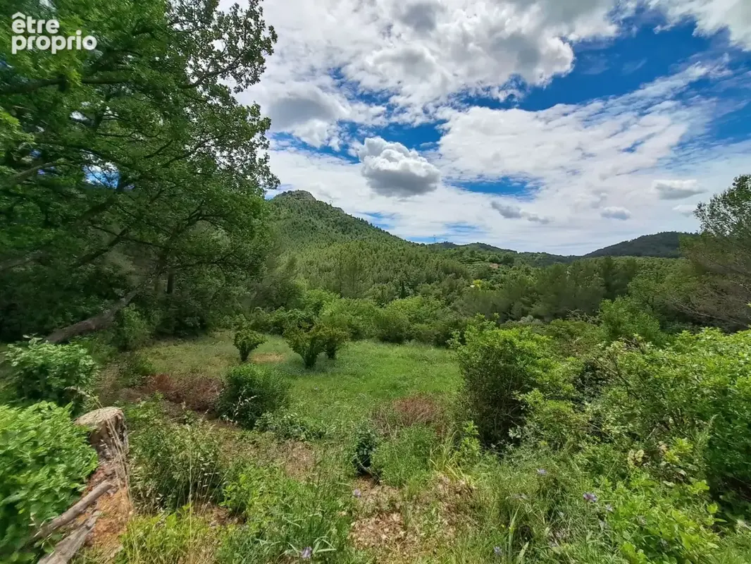 Maison à vendre 6 pièces AURIOL (13) au calme absolu / 22905m²  en Zone Naturelle (NS) - photo 3