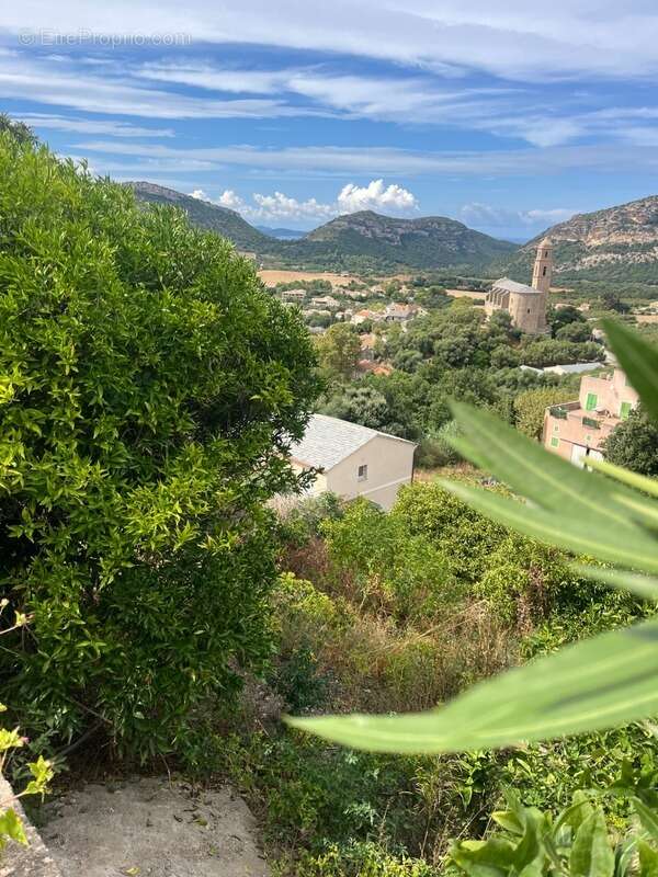 Terrain à PATRIMONIO