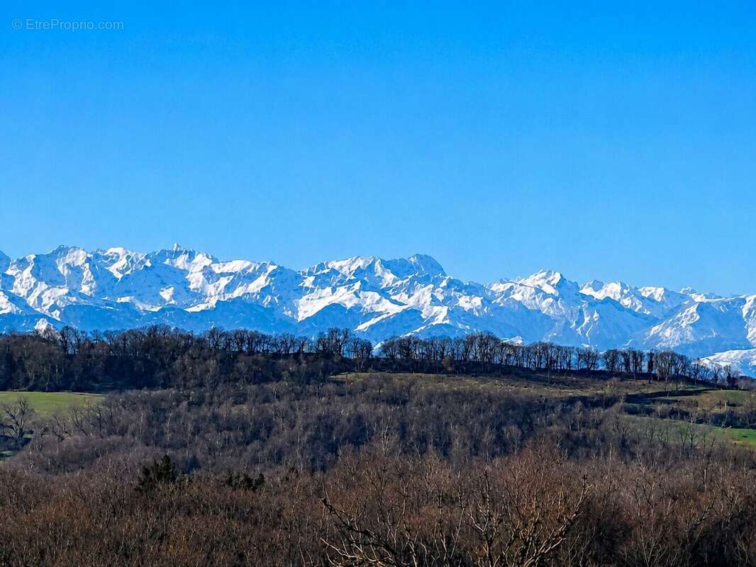 Rare ! À vendre près de Marciac : maison (ancienne ferme) de 2,7 ha, avec 2 gîtes et des dépendances, vue sur les Pyrénées. DPE  - photo 2