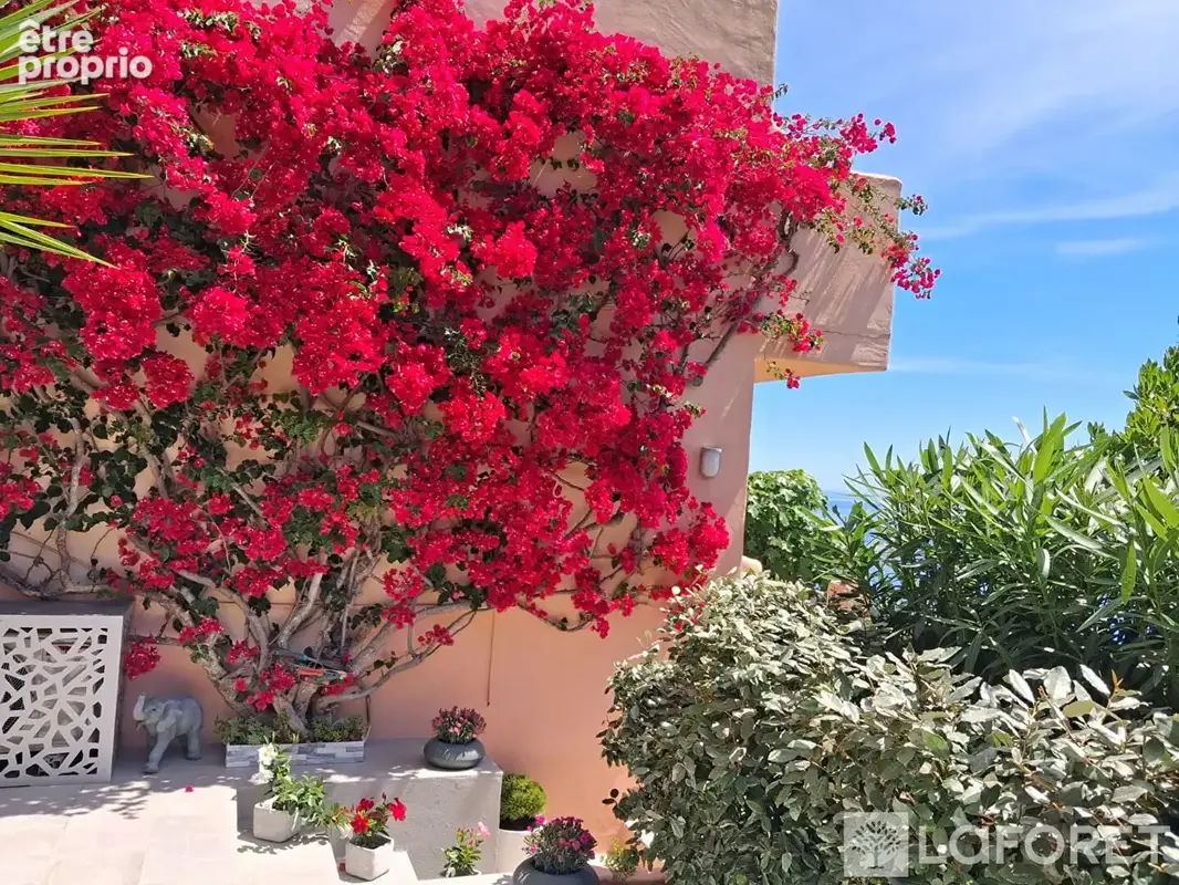 Appartement Côte des Nacres - vue mer - photo 12