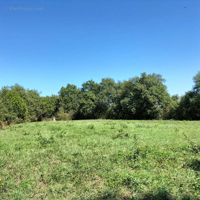 Terrain à SARAMON
