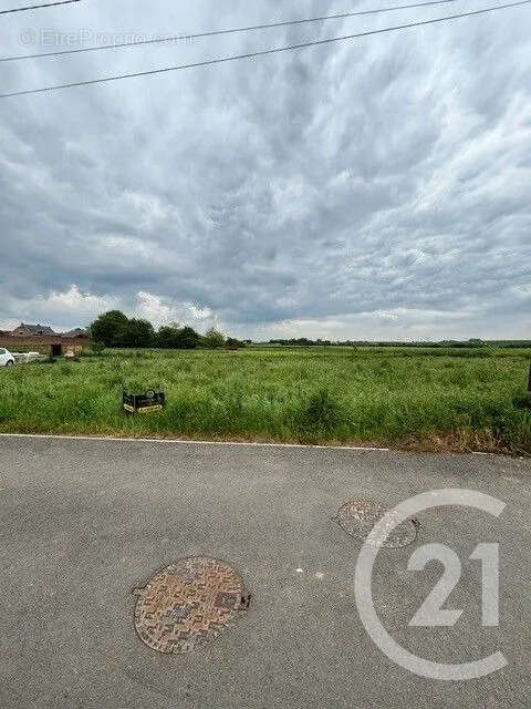 Terrain à ALAINCOURT