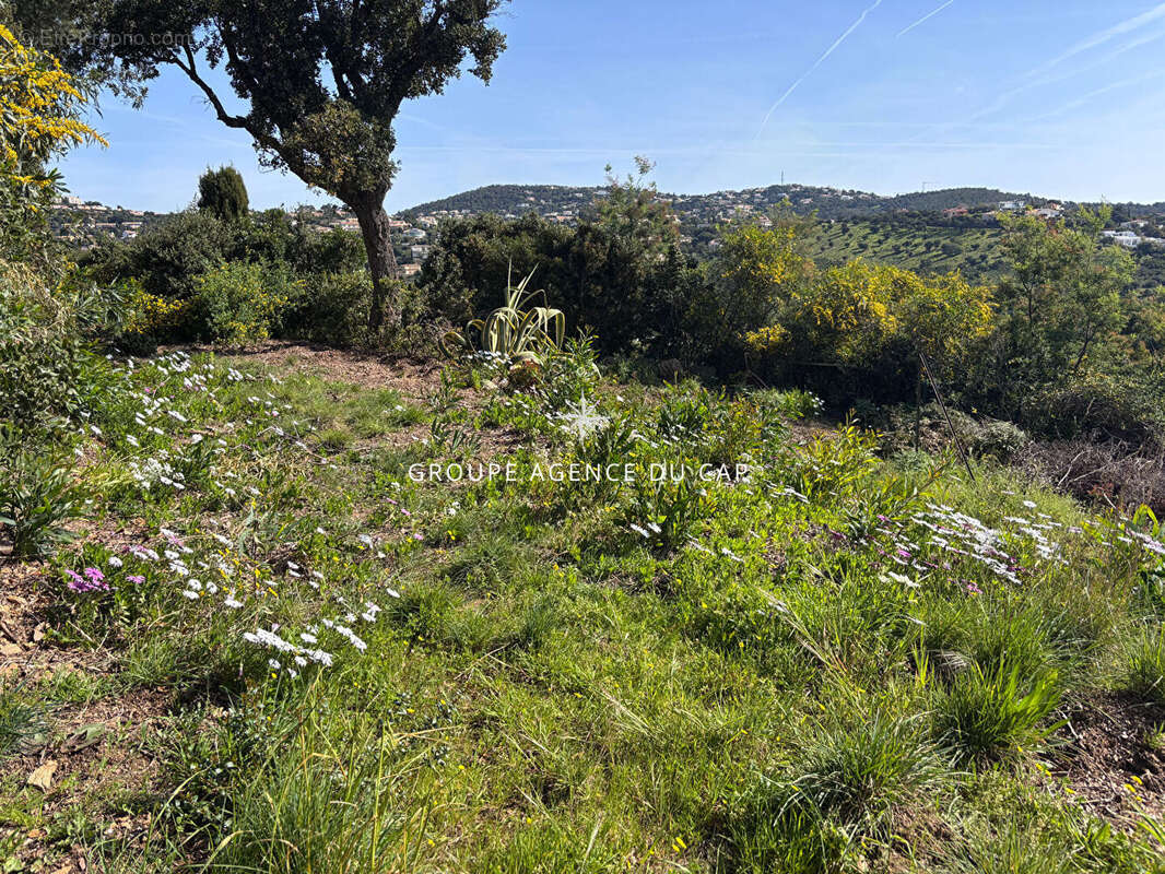 Terrain à LES ISSAMBRES