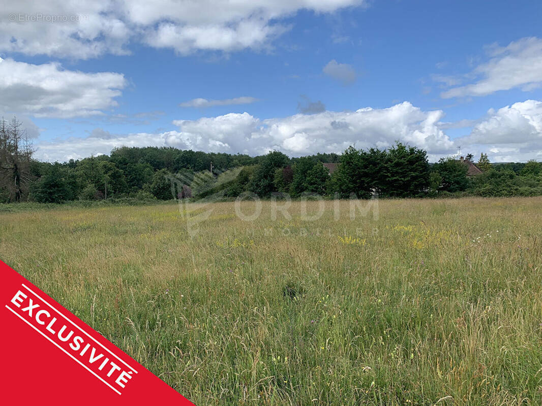 Terrain à TOUCY
