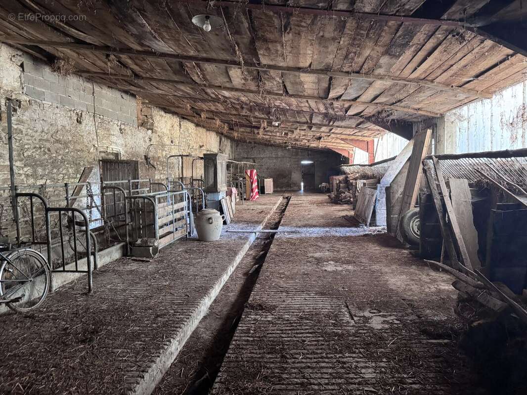 Ferme bressane de caractère sur près de 2,7 hectares – Un véritable havre de paix aux portes de Louhans - photo 26