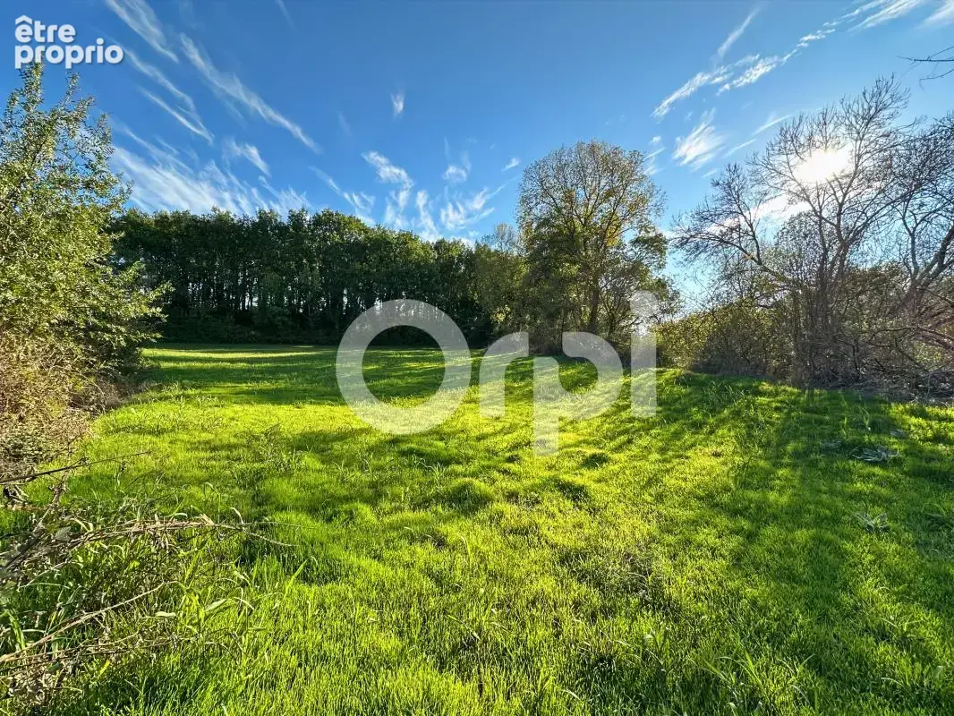 Terrain À Vendre 5 960 m² - photo 4
