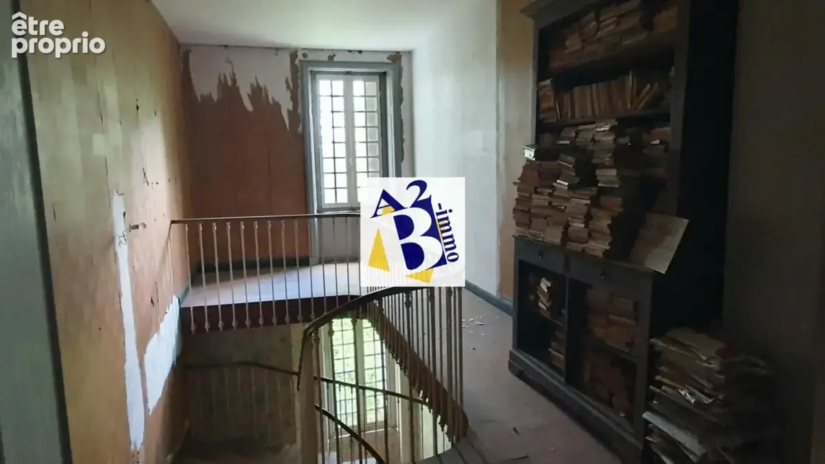 10 Min Cognac, Maison de Maitre à rénovée, dépendances - photo 7