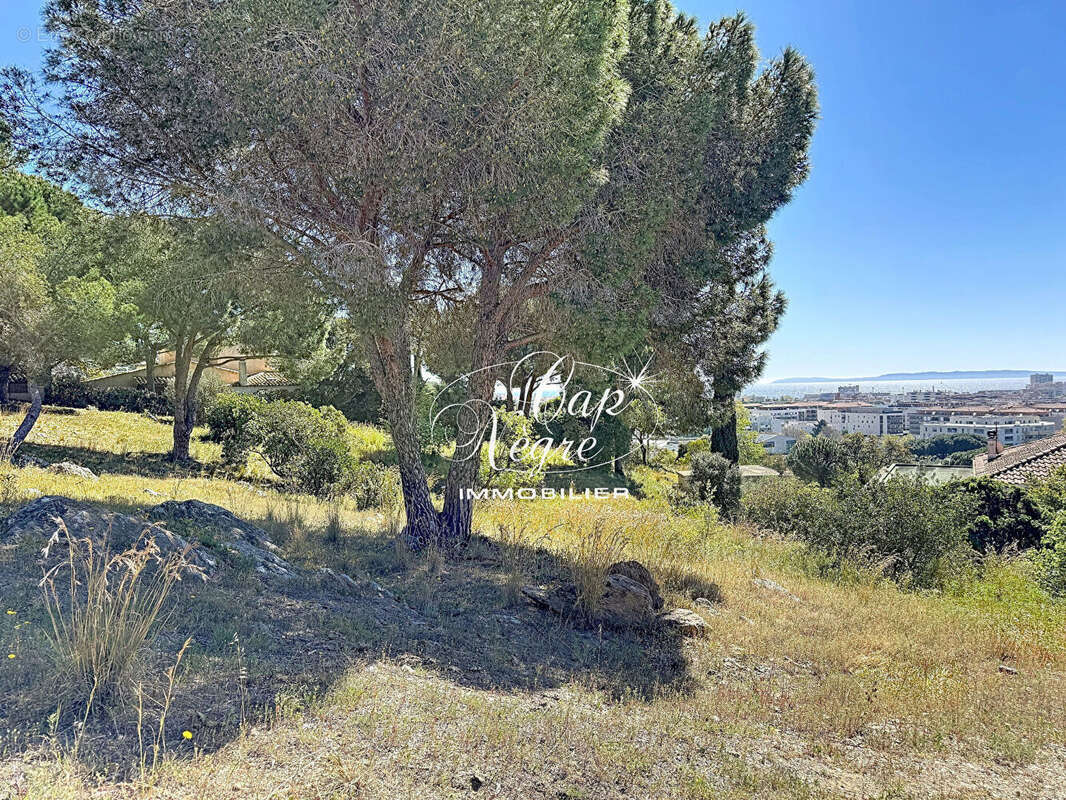Terrain à BORMES-LES-MIMOSAS