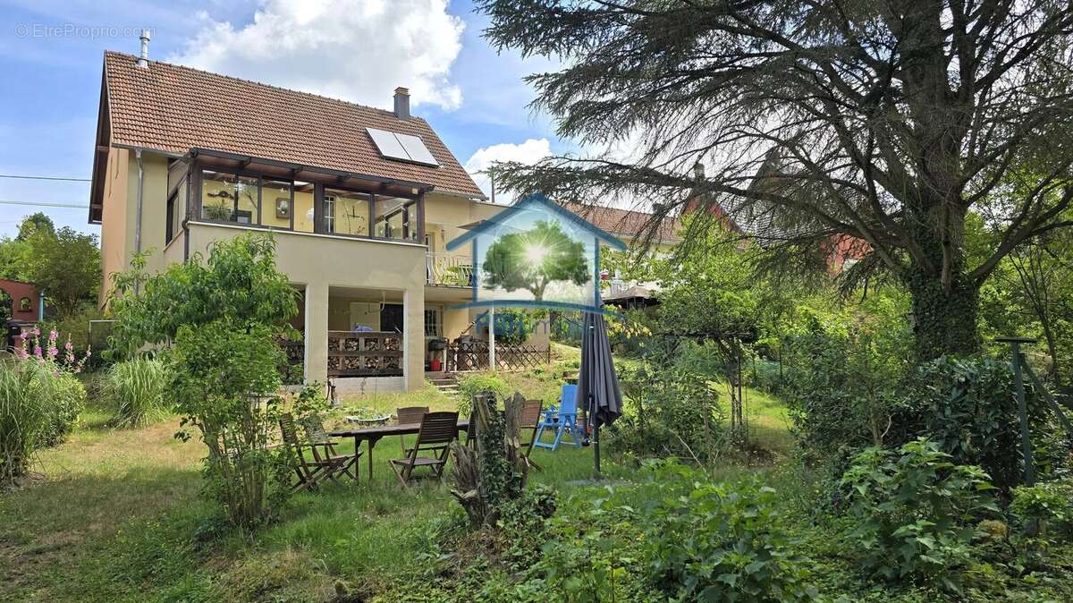 Baerenthal (57) - maison 8 pieces sur 8,74 ares - photo 2