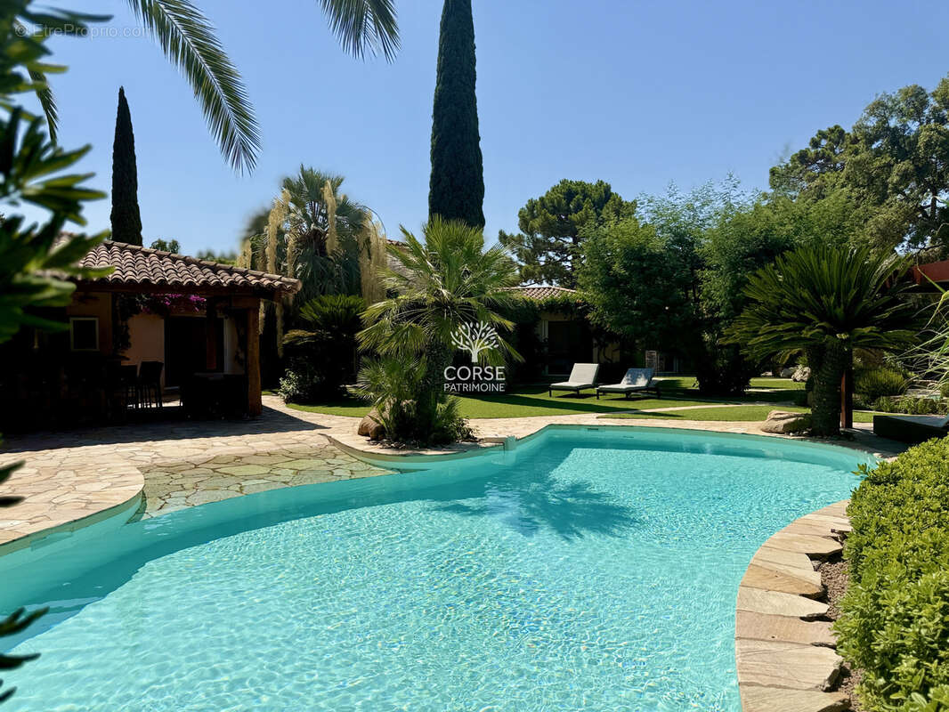 Maison à LECCI