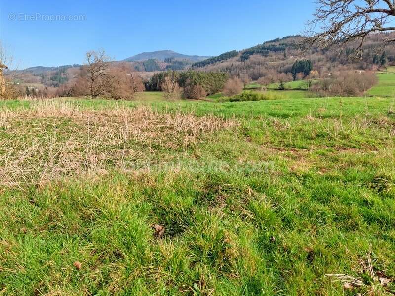 Terrain à AUGEROLLES