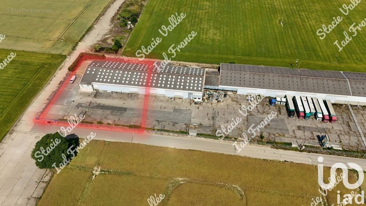 Photo 1 - Appartement à NAGEL-SEEZ-MESNIL