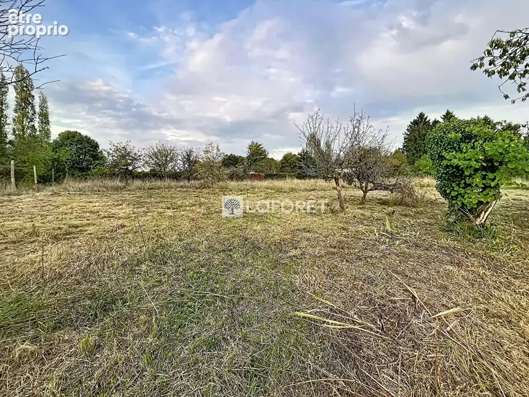 Terrain constructible - viabilisé - Saint Pardoux Soutiers - photo 3
