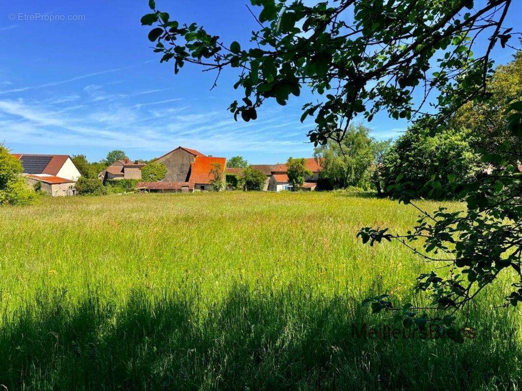 Ferme 122 m² à réhabiliter à Vevy avec terrain de 2 709 m² et dépendances - photo 5