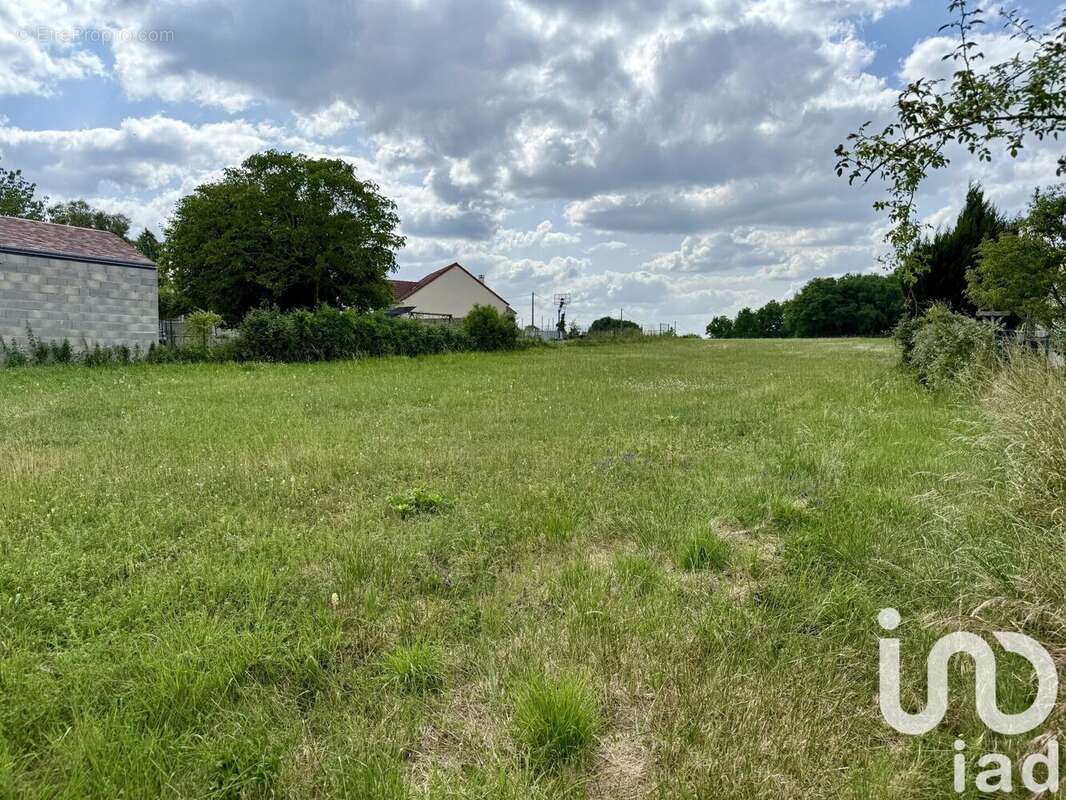 Photo 7 - Terrain à PRESSIGNY-LES-PINS