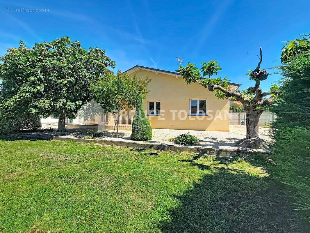 Maison à BERAT