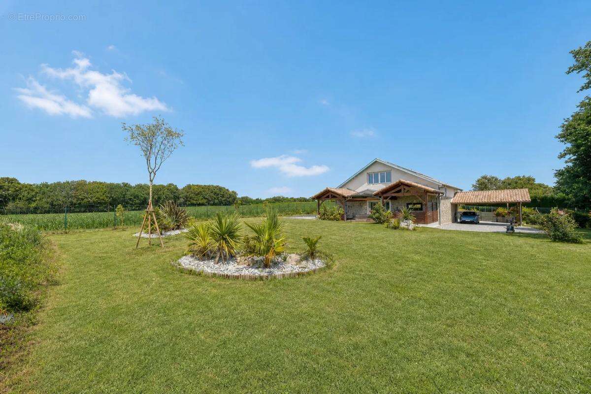 Maison premium de 264 m² à Orist - photo 18