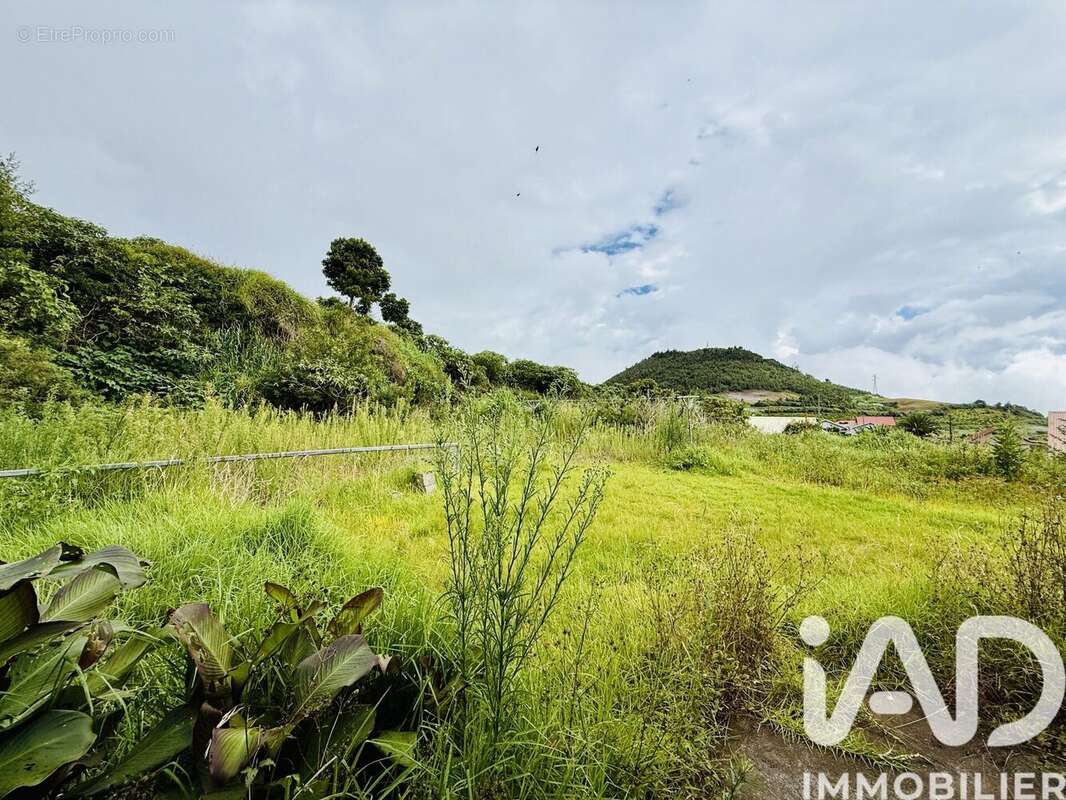 Photo 7 - Maison à SAINT-PIERRE