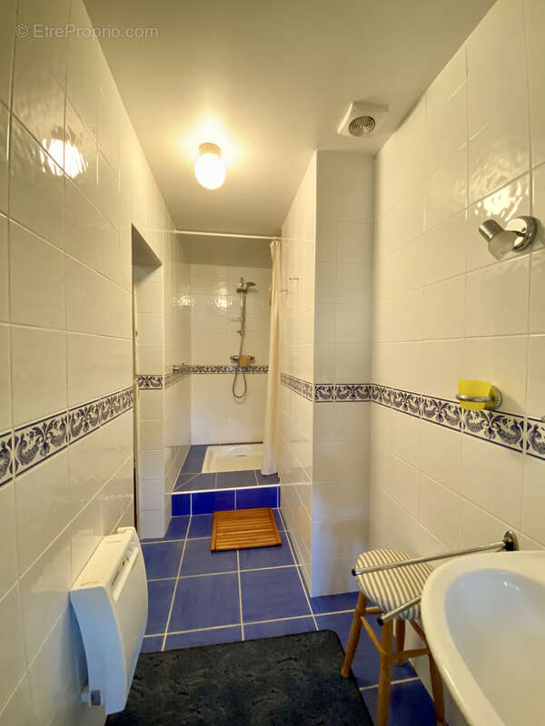 Maison à SAINTE-CECILE-DU-CAYROU