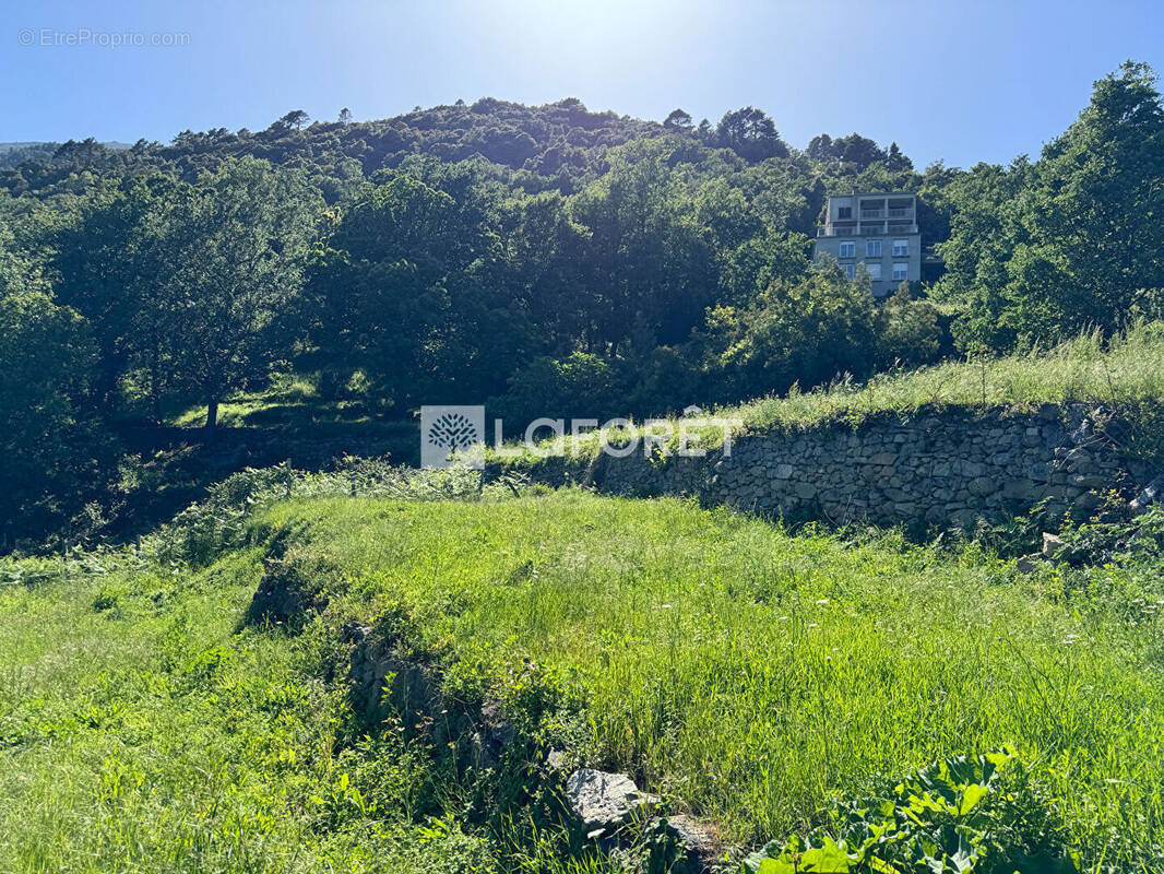 Terrain à SANTO-PIETRO-DI-VENACO