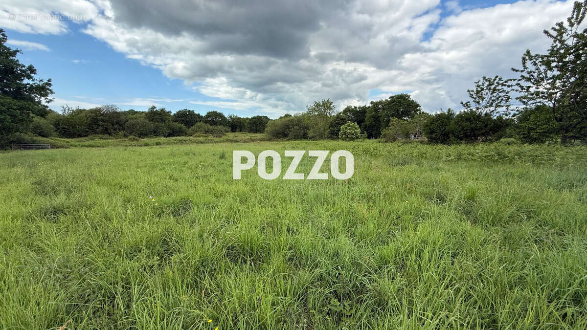 Terrain à JULLOUVILLE