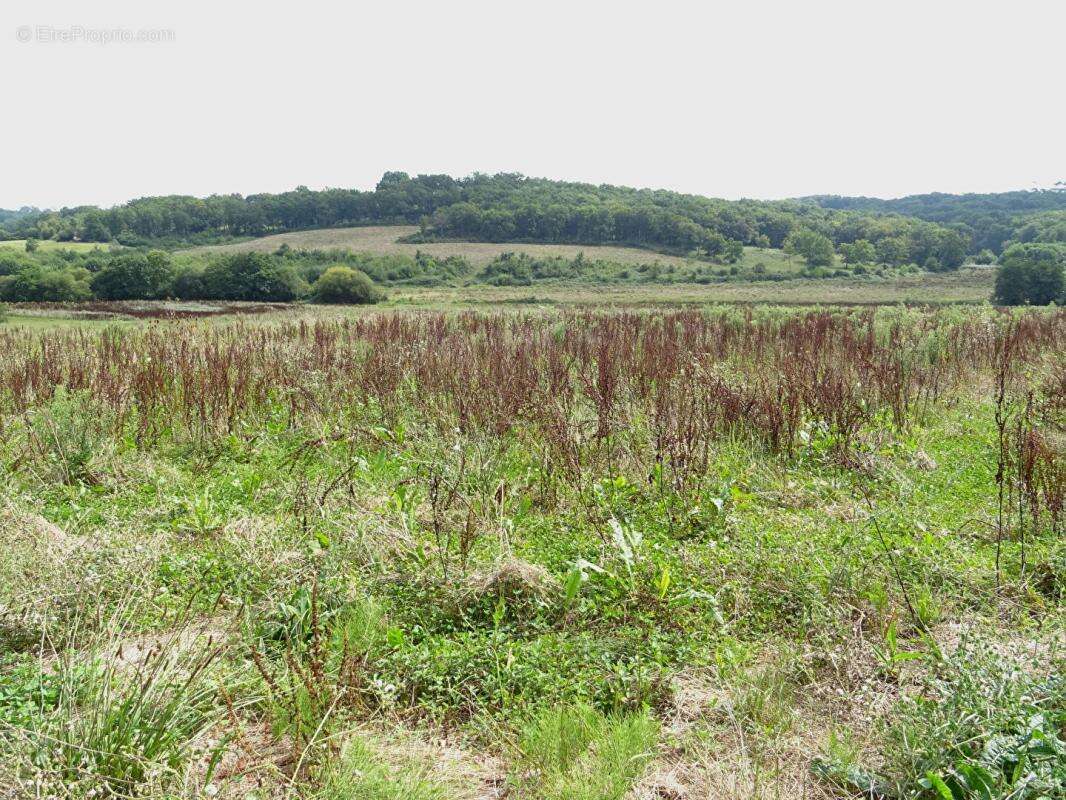 Maison à SAINTE-COLOMBE