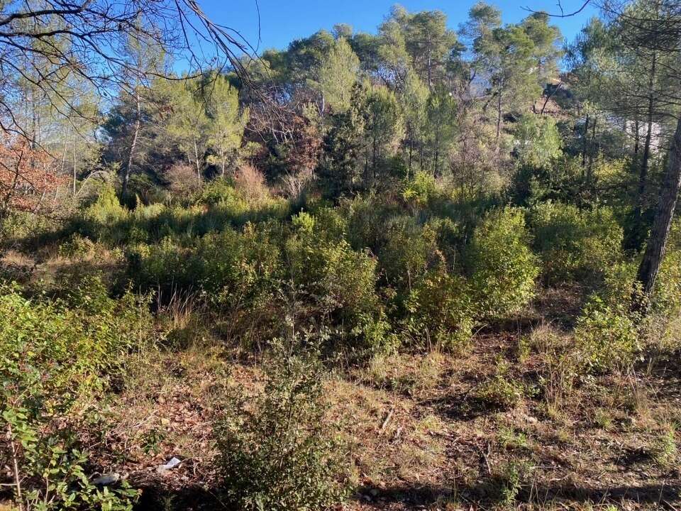 Terrain 399 m² à Brignoles  - photo 4