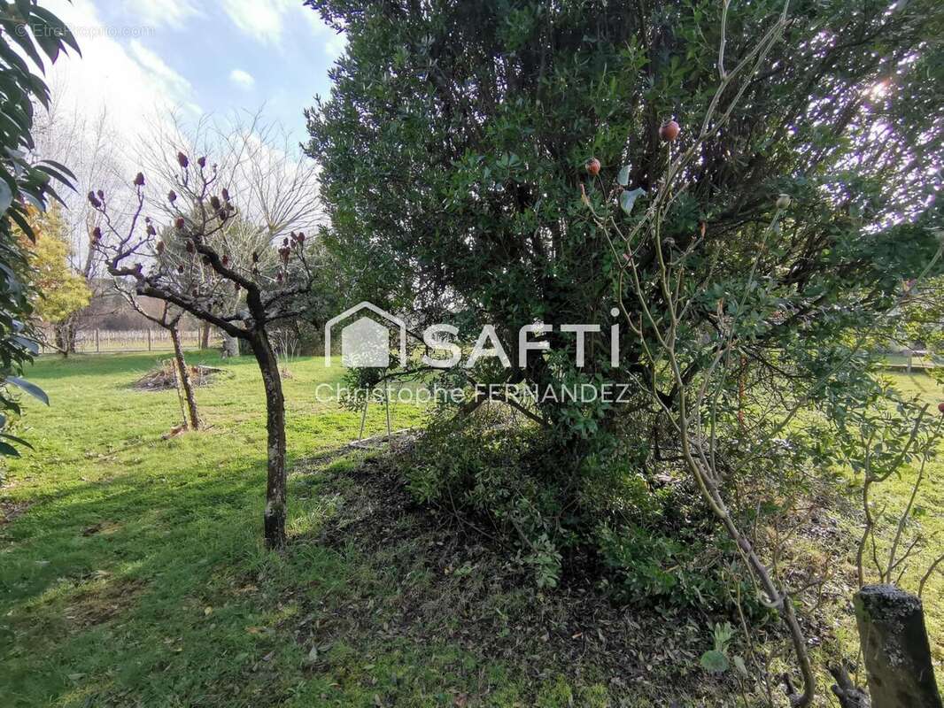 Photo 6 - Terrain à BERSON