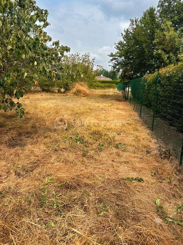 Terrain viabilisé divisible et constructible avec permis accordé1553 m2 vue sur les Pyrénées-89 000€ FAI - photo 4