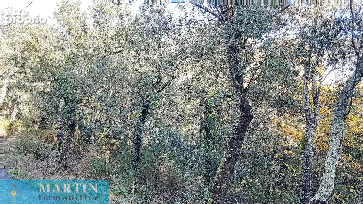 Terrain constructible - photo 6
