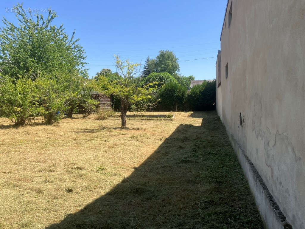 Terrain à SENS