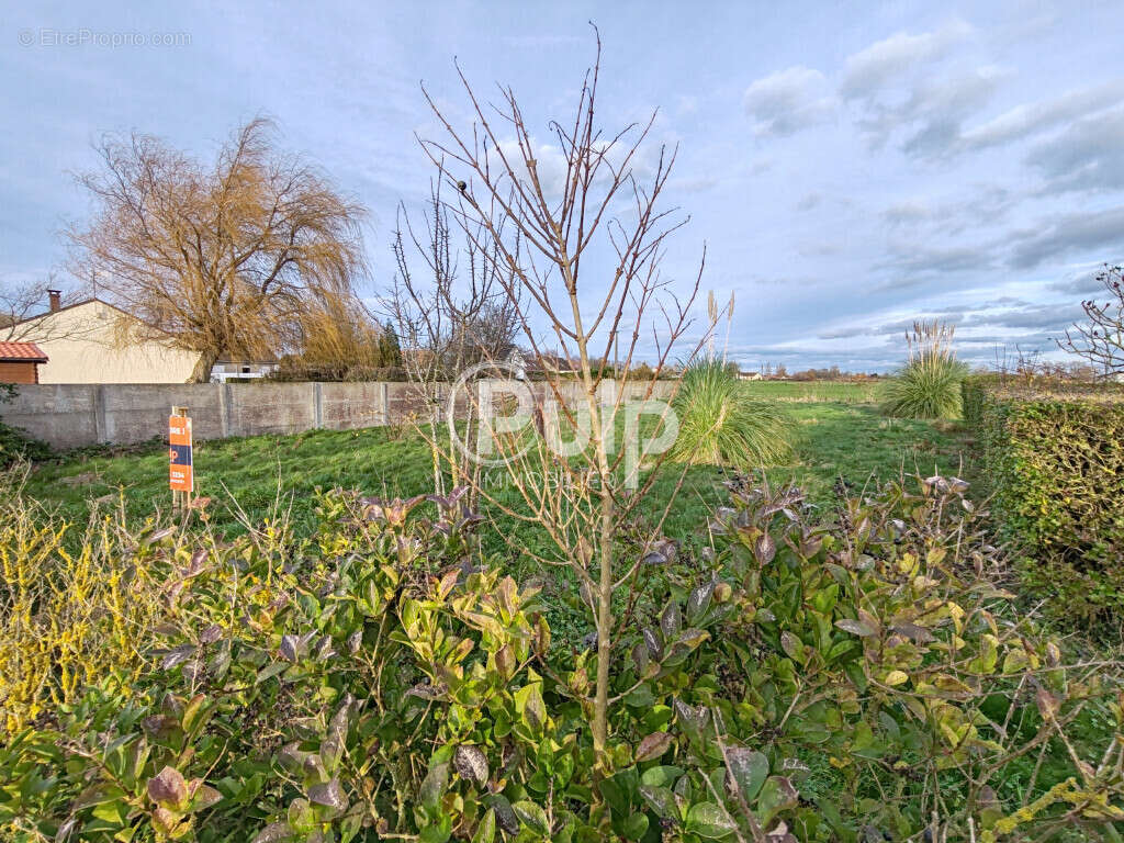 Terrain à GUEMPS
