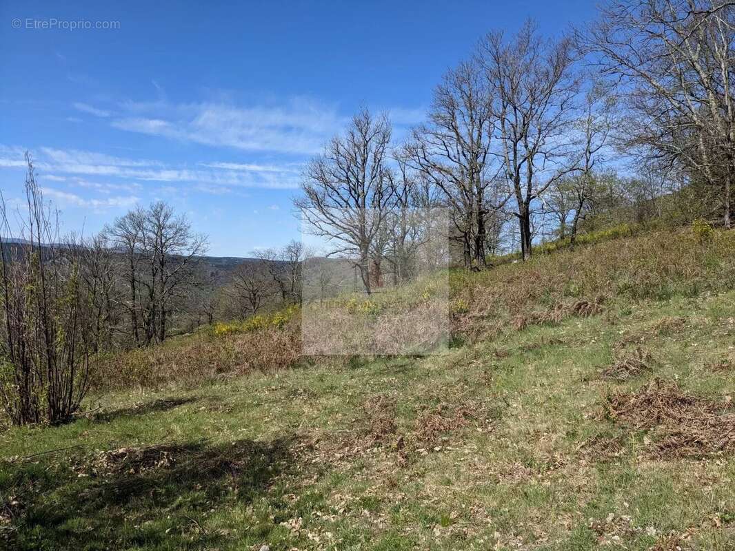 Terrain à CASSAGNAS