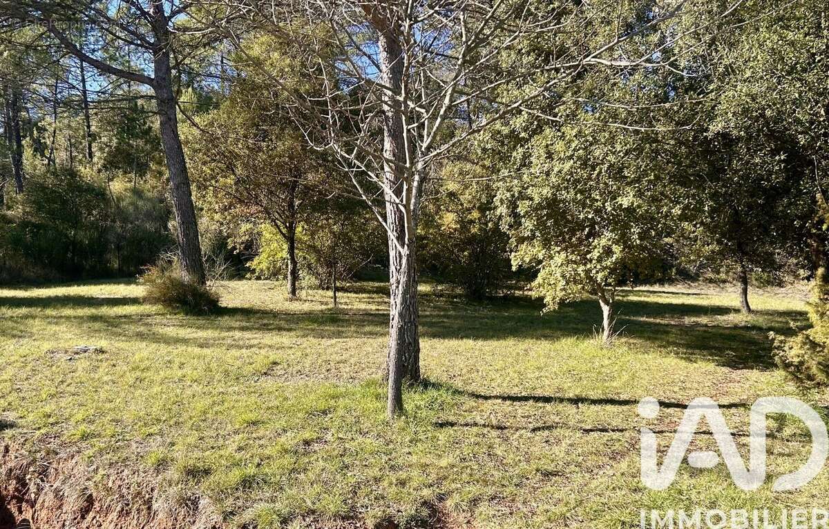 Photo 2 - Maison à BRAS