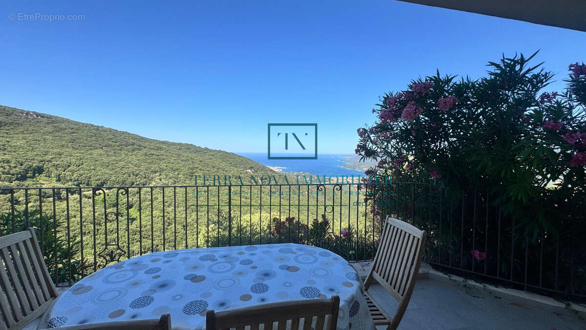 Villa de charme vue sur l'horizon et sur mer VIGGIANELLO - photo 28