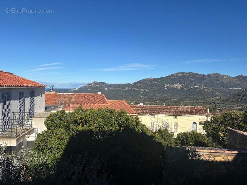 Maison à vendre 3 pièces CALENZANA (20) - photo 12