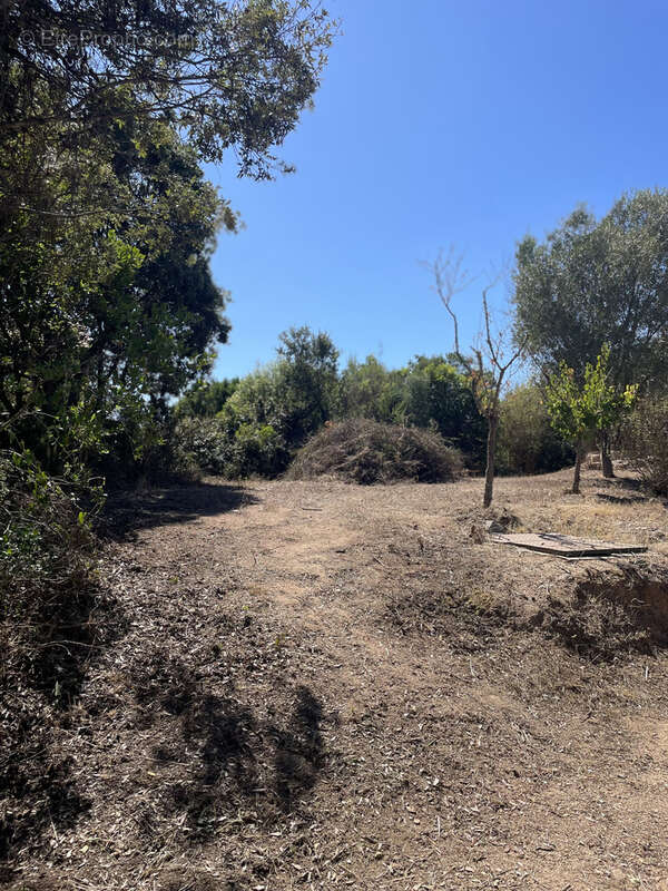 Maison à PIETROSELLA