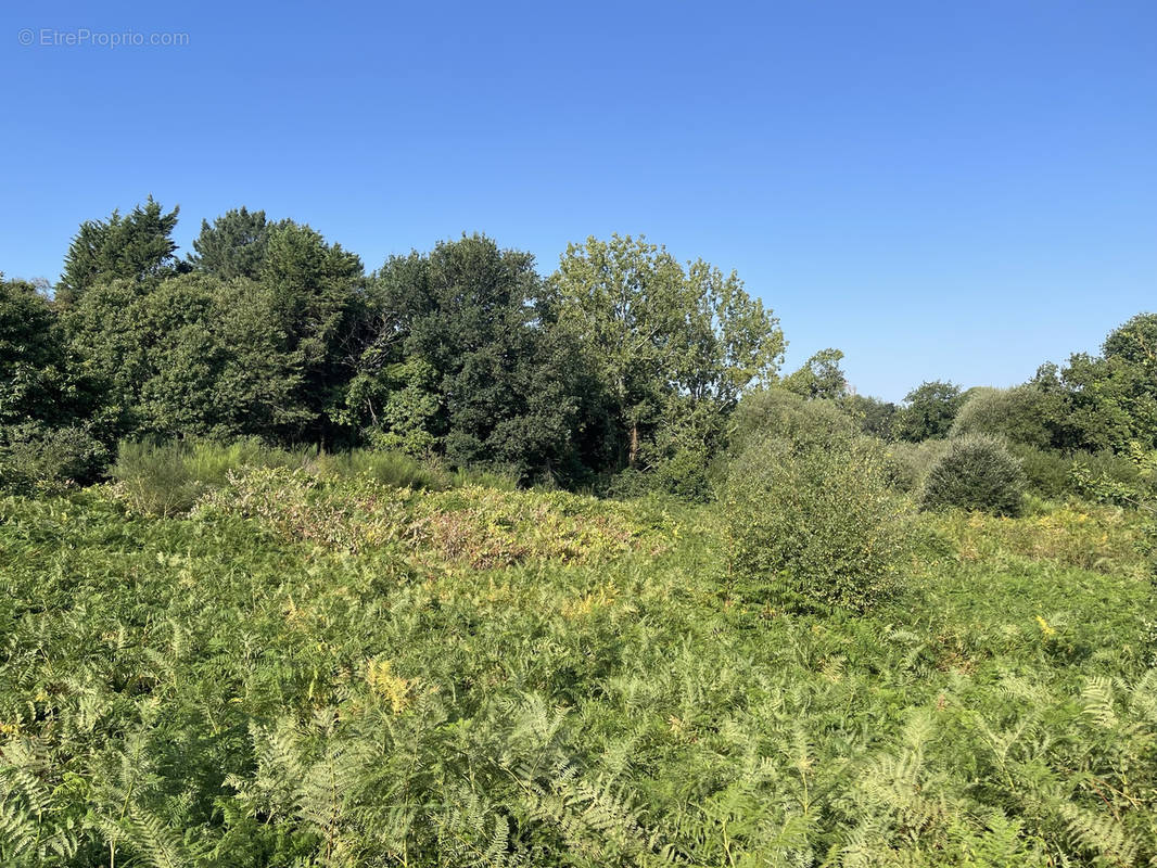 Terrain à CONCARNEAU