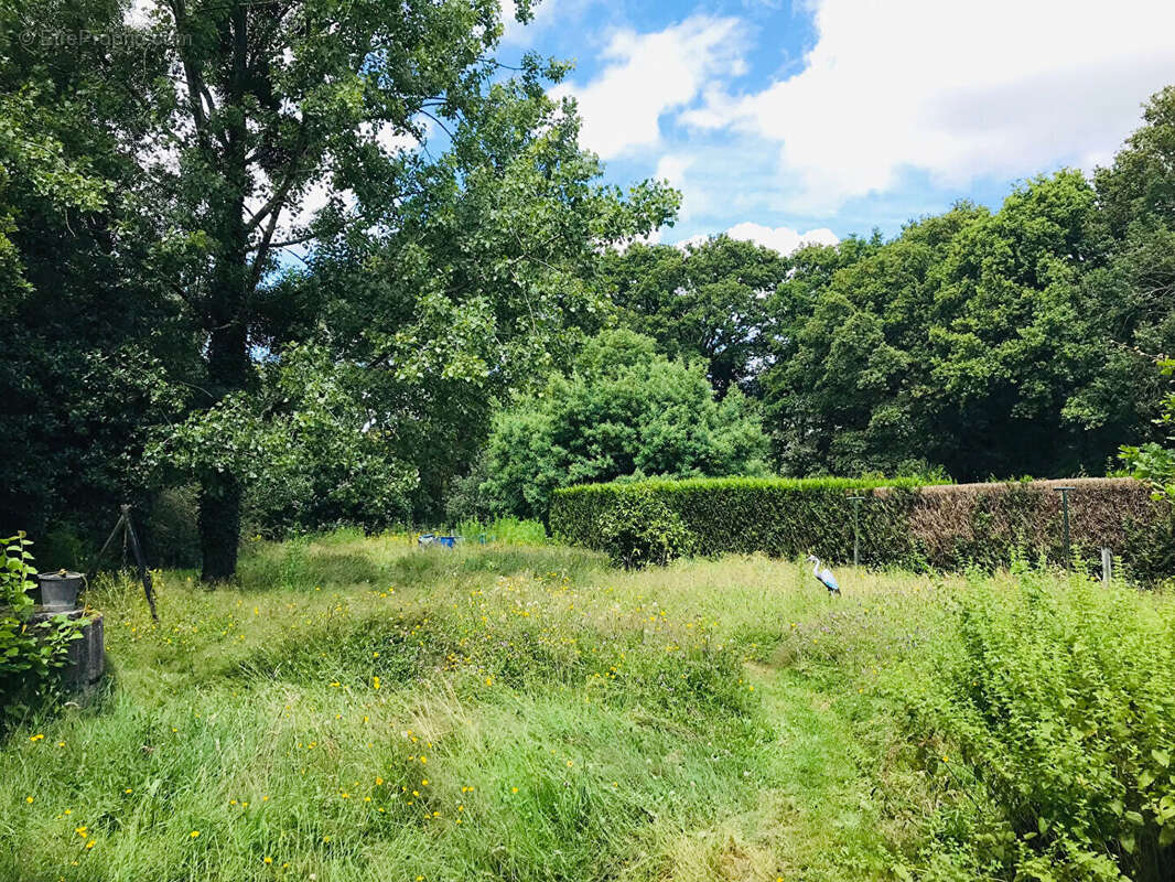 Maison à LA CHAPELLE-DES-MARAIS