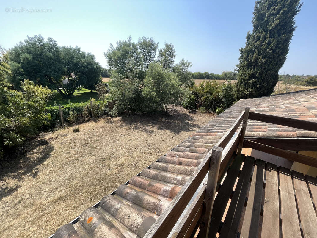 Maison à VILLENEUVE-TOLOSANE