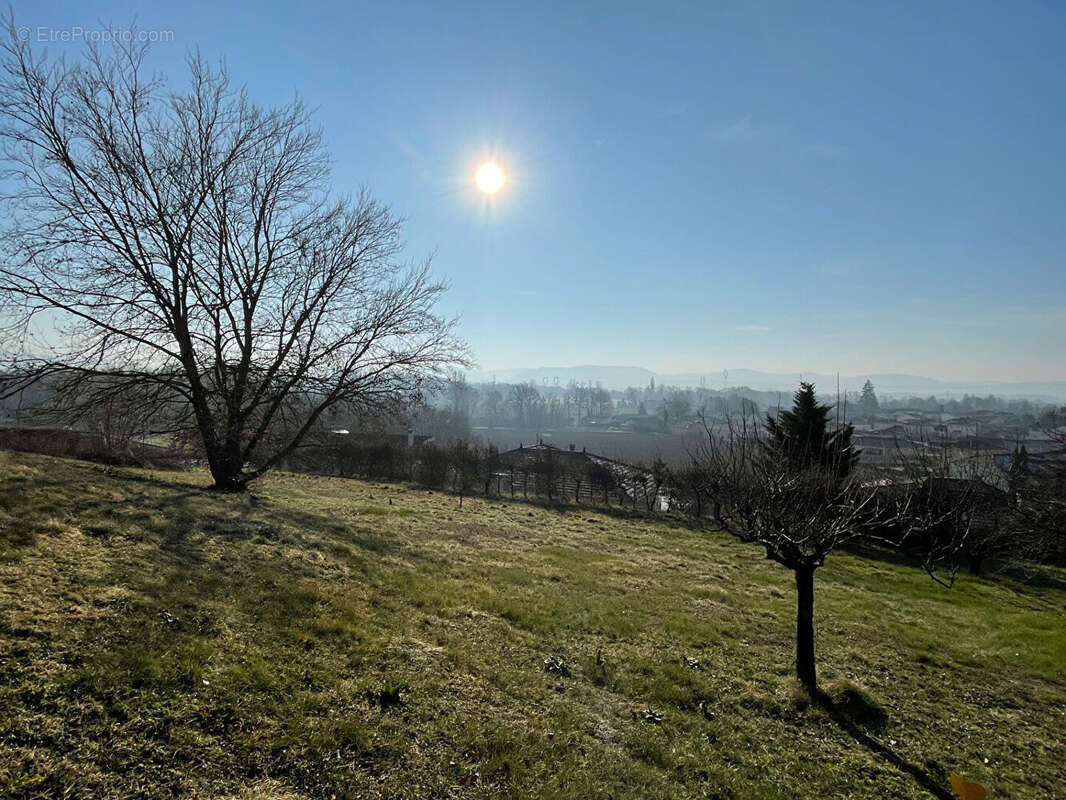 Terrain à TIGNIEU-JAMEYZIEU